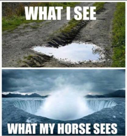 18403628_1553199238045950_4087472036451686967_n