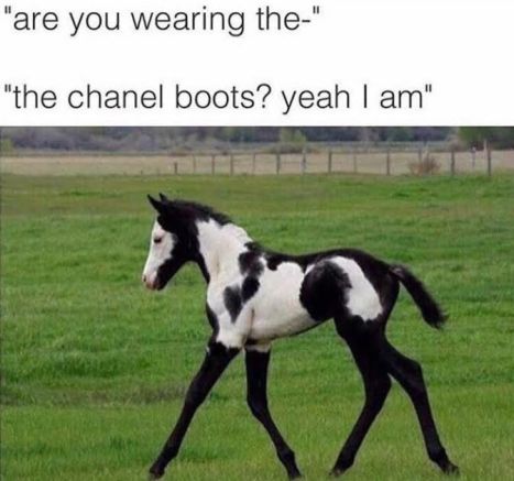 DLj1i_TXcAI-SNt.jpg-large